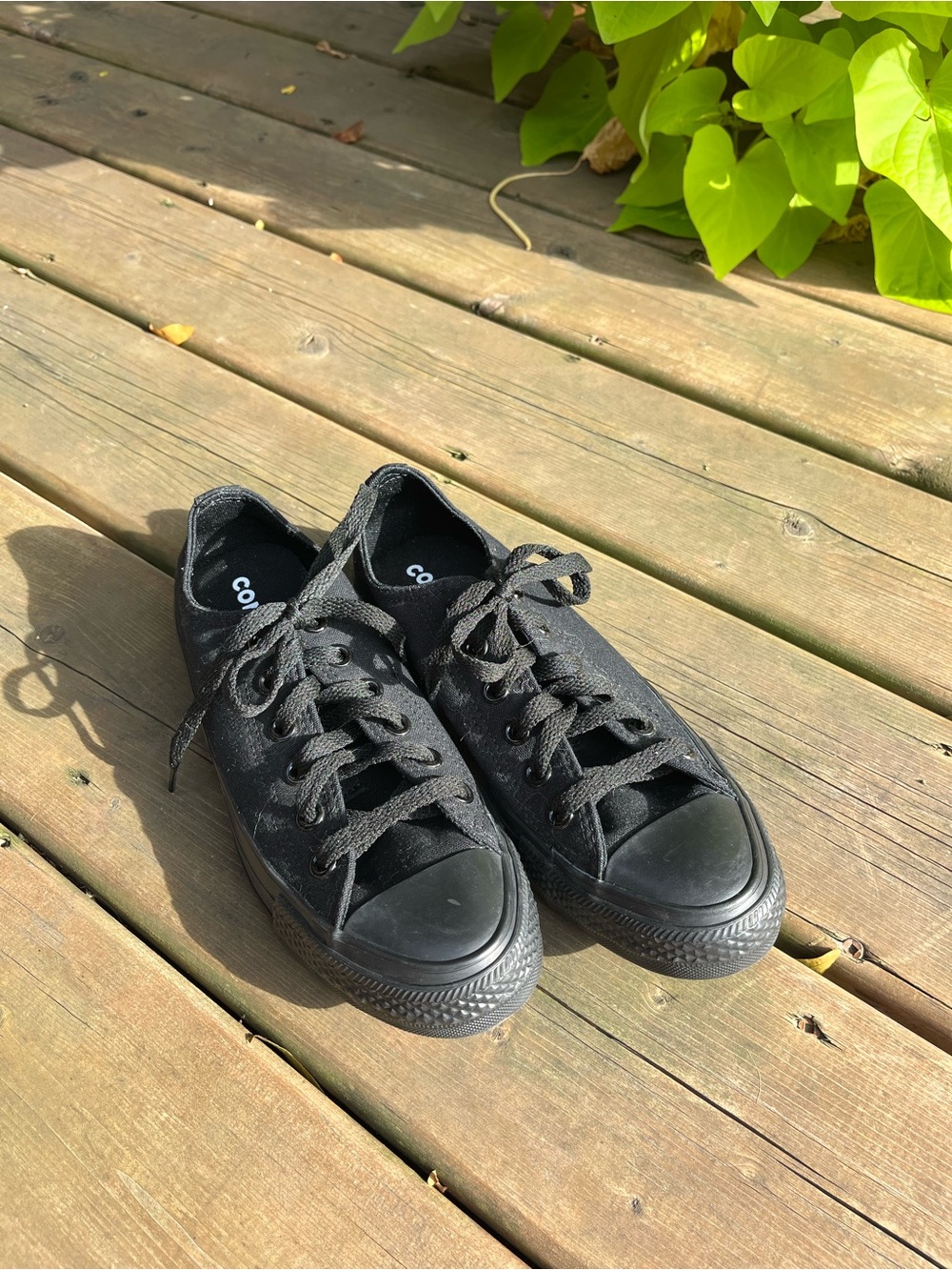 Converse Black Low-Top Canvas Sneakers
